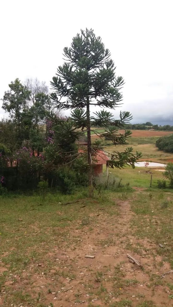Oportunidade! Chácara em Munhoz- MG - próximo a cachoeiras  - Foto 4