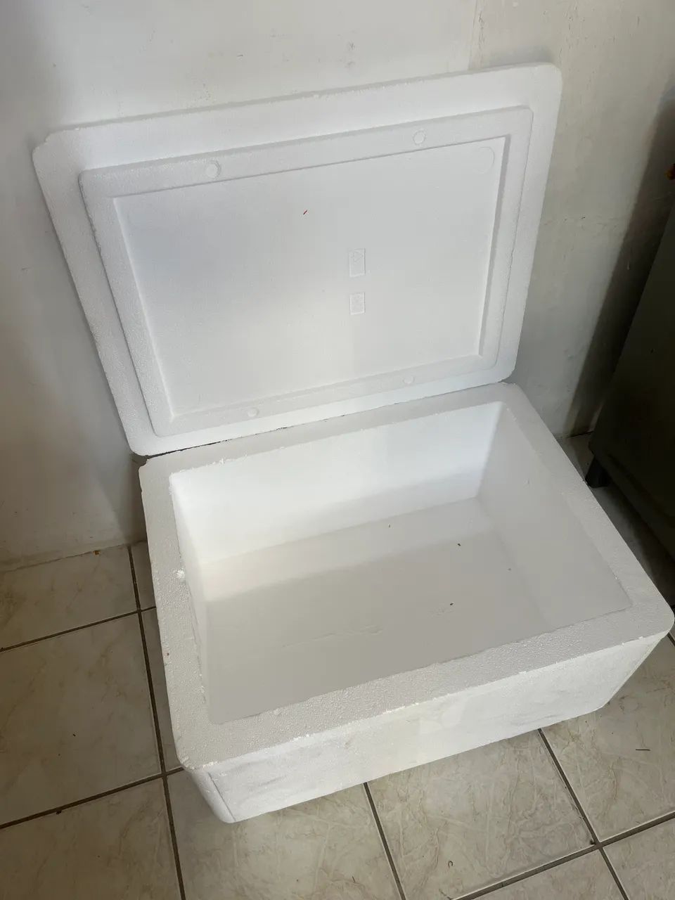 Caixa de isopor 100L - Foto 2