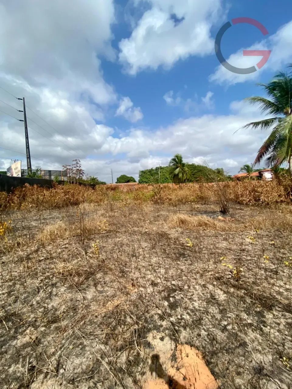 TERRENO AMPLO NA ESTRADA DE RIBAMAR - Foto 5