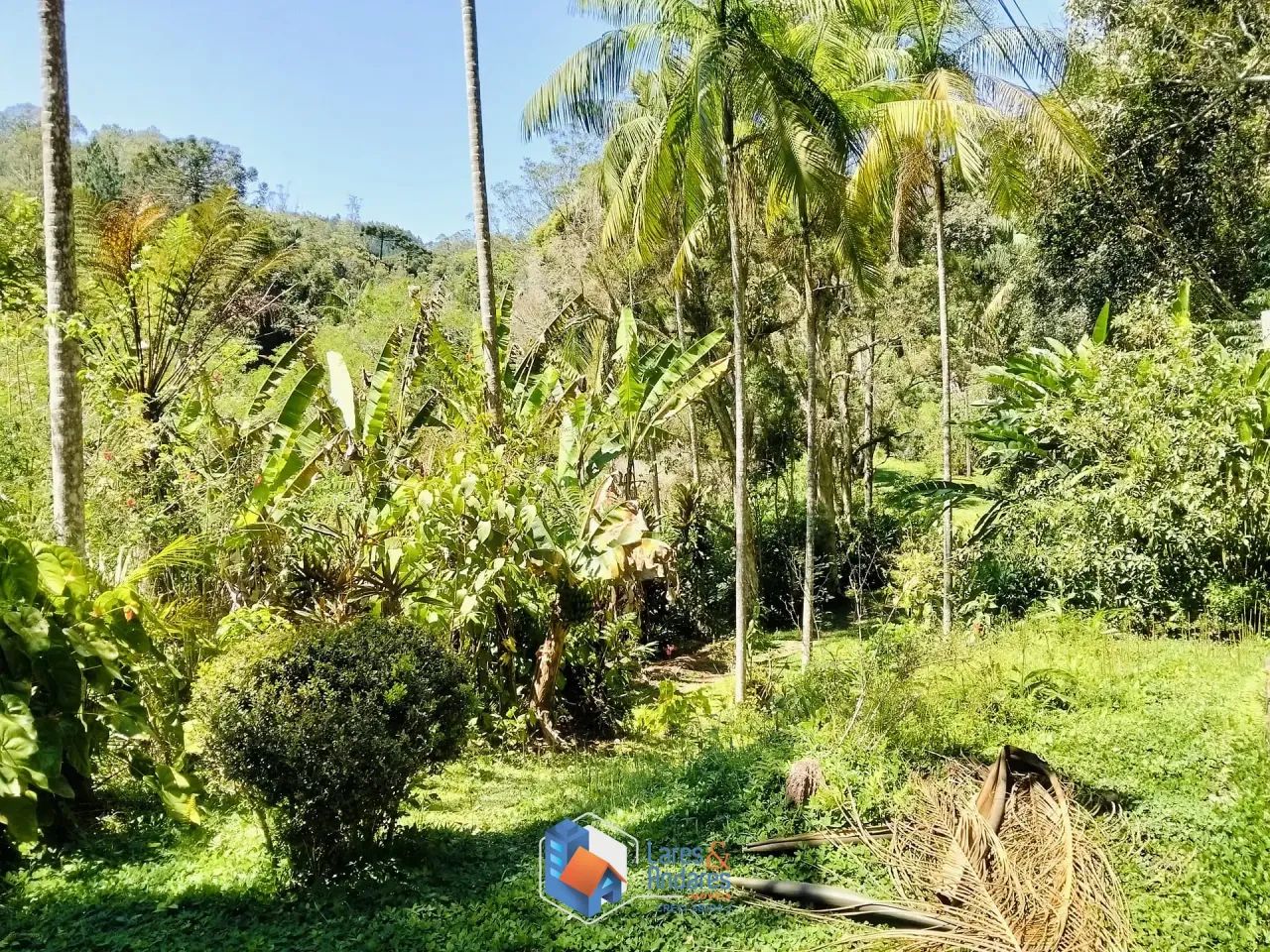 ARRENDAMENTO DE SITIO COM NASCENTE, ÁREA PARA PLANTIO, CASA COM 3 DORMITÓRIOS, CASEIRO, CO - Foto 4