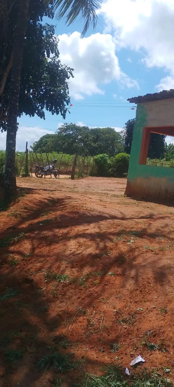 Chácara e ponto comercial em Alagoa Nova, Sítio Geraldo - Foto 2