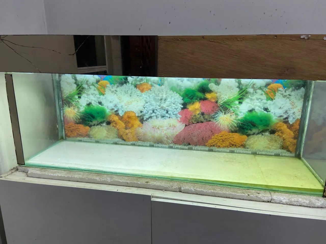 Aquario  - Foto 5