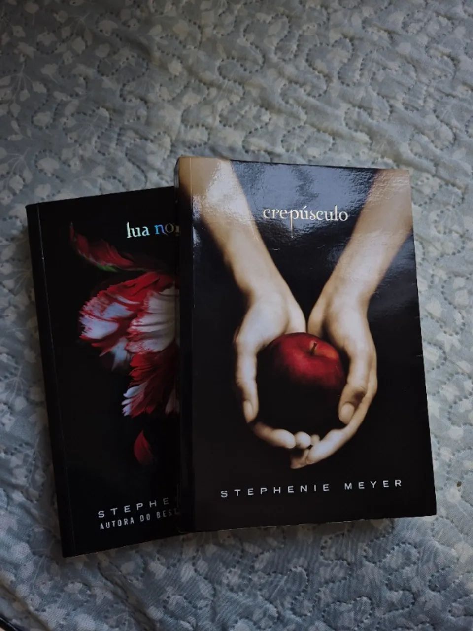 Crepúsculo + Lua Nova livros