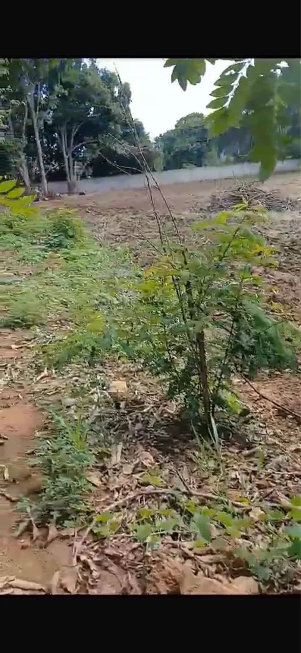 Vendo terreno em Taboquinha Goiás 