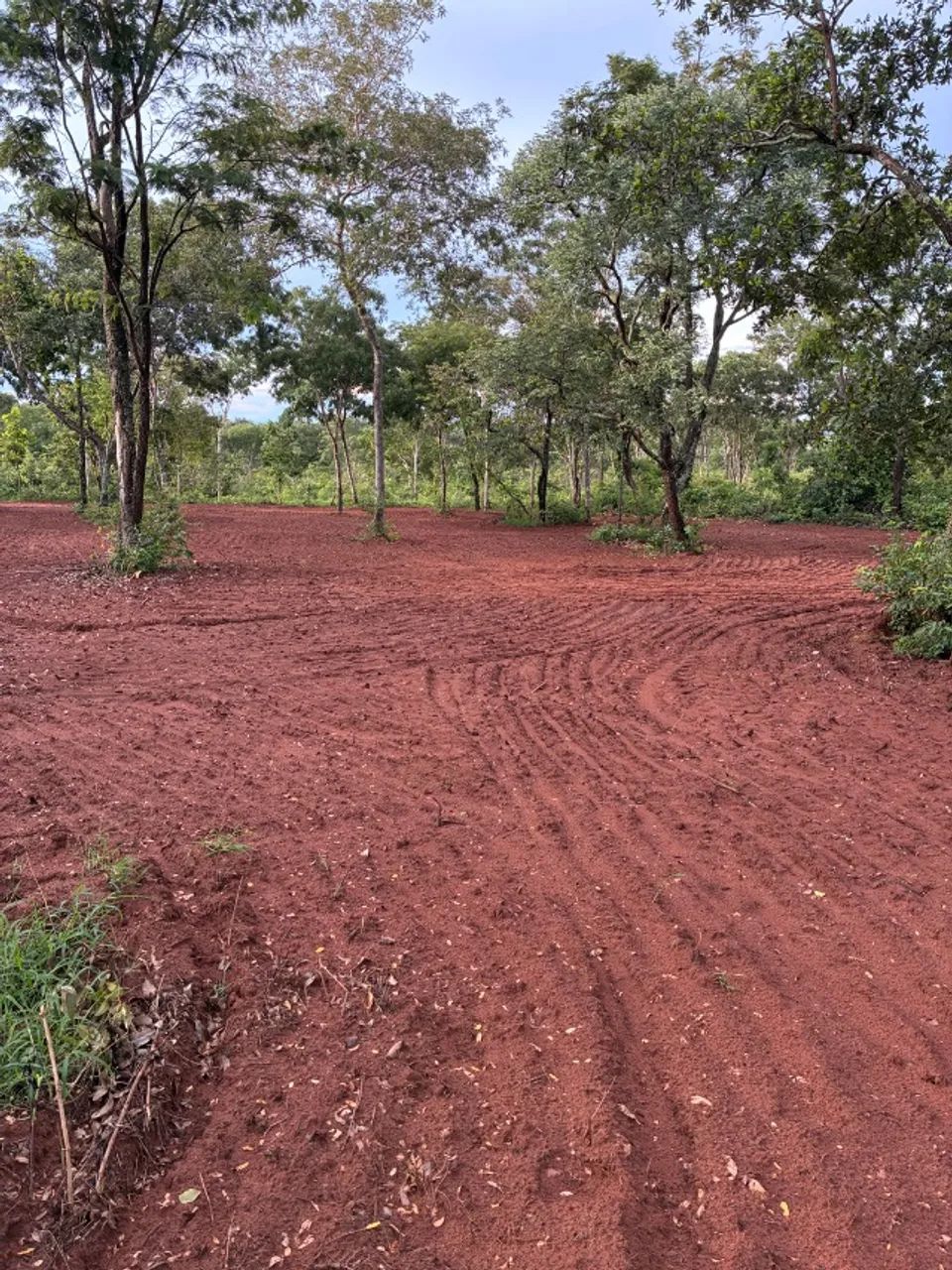Chácara para Pecuária e Lazer  - Foto 3