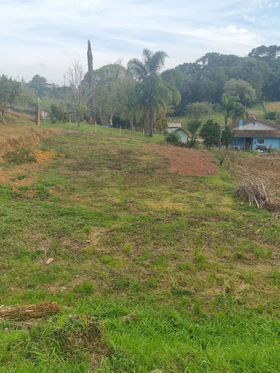 Terreno Mato Preto - Foto 2