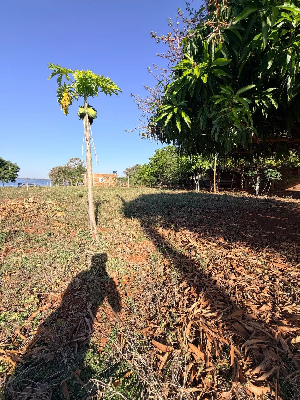Terreno/Rancho Beira do Rio Formoso - Foto 3
