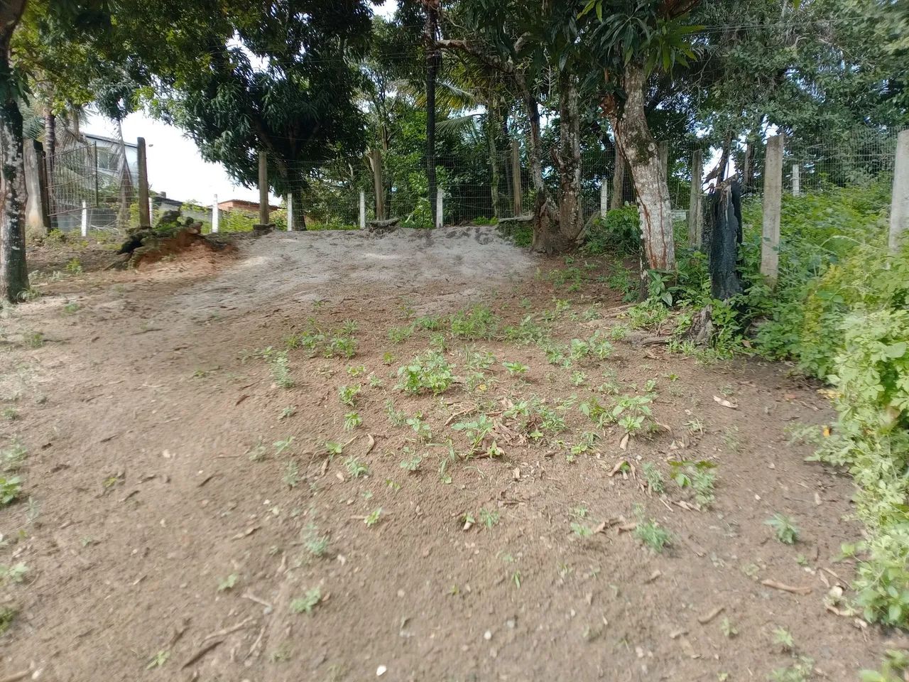Foto - Paulista - Nobre