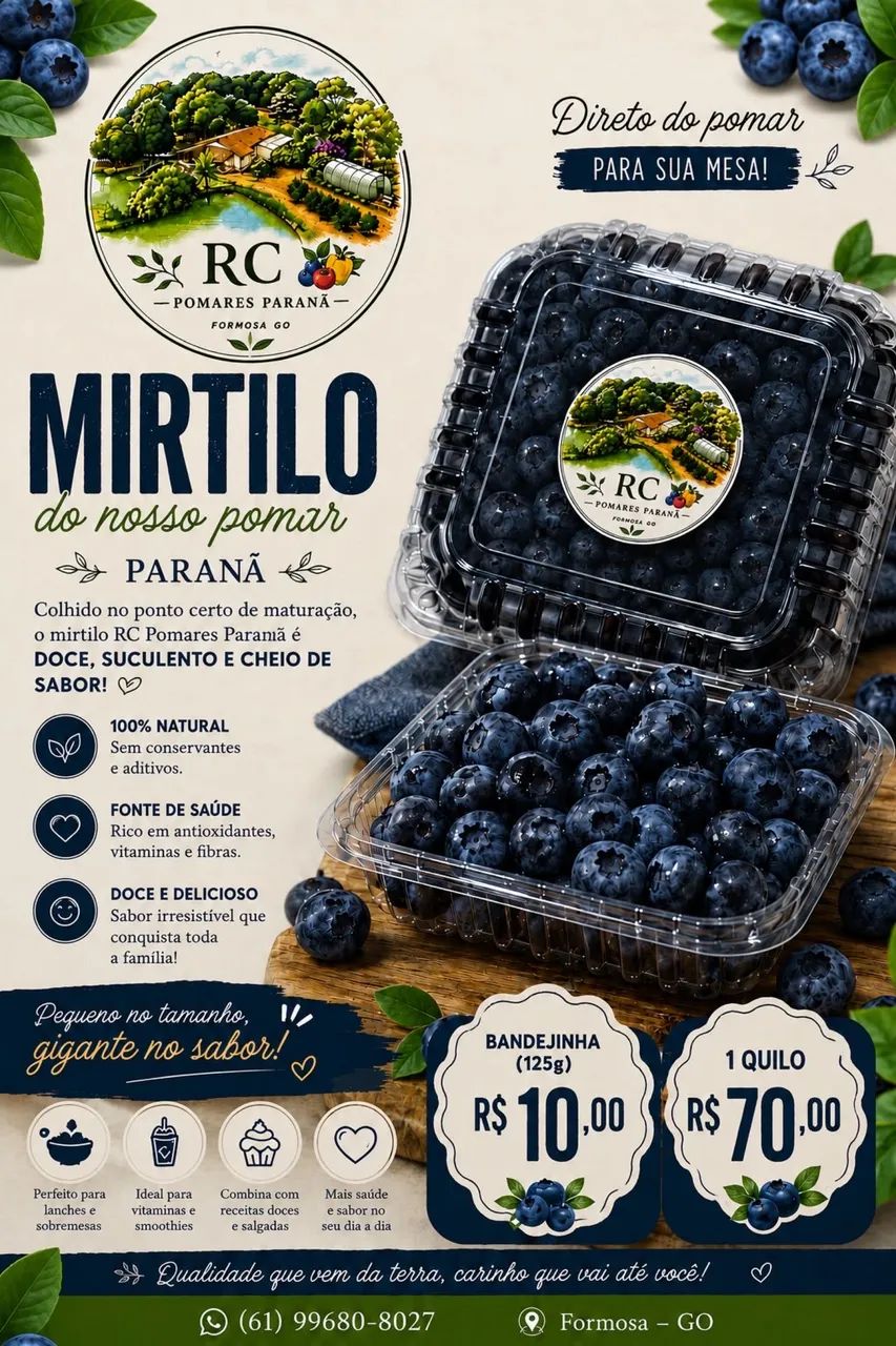 Mirtilo ( Blueberry ) - Foto 3