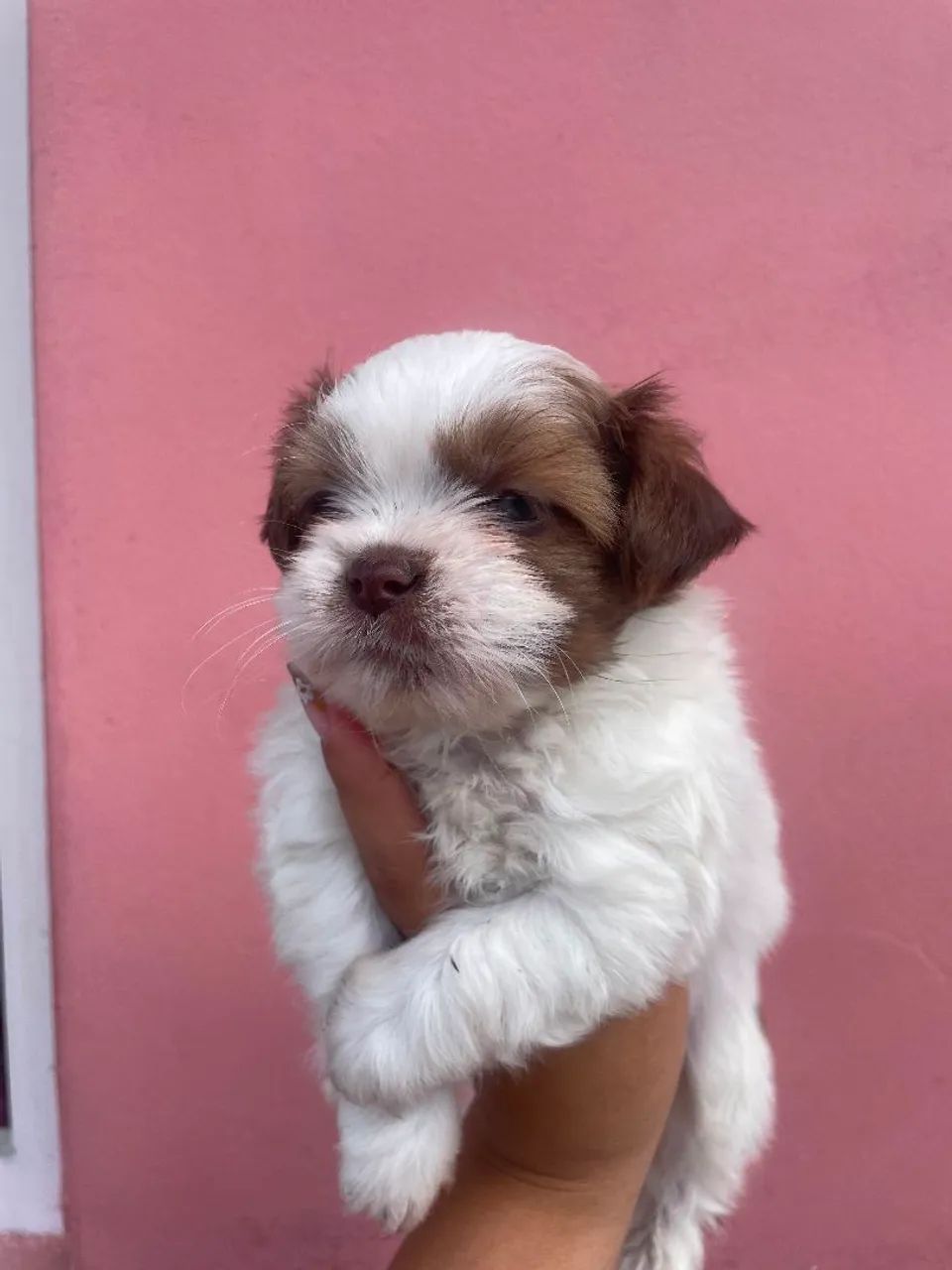 Vende-se  - Foto 2