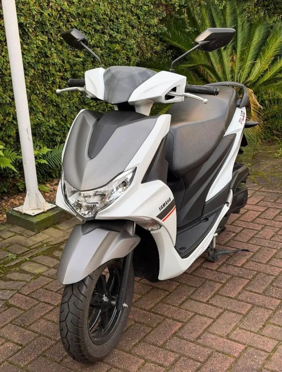 YAMAHA FLUO 125 ABS | 2024 - Foto 3