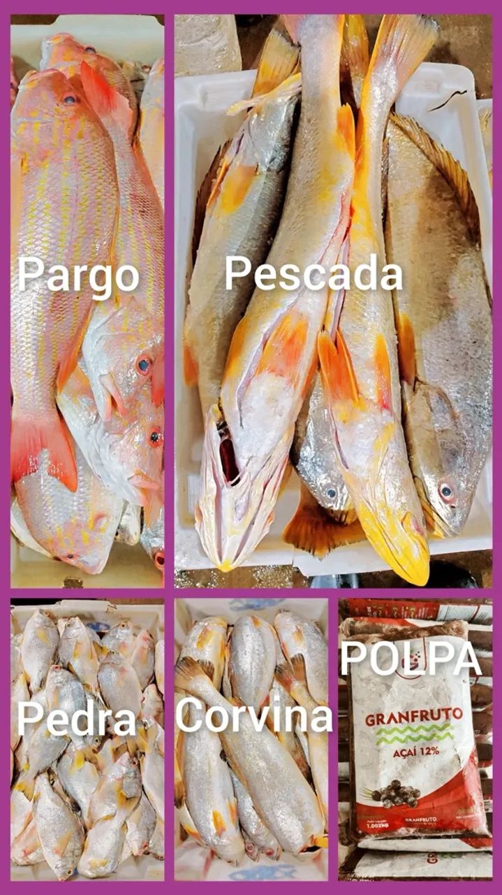 PEIXARIA BETSAIDA  - Foto 4