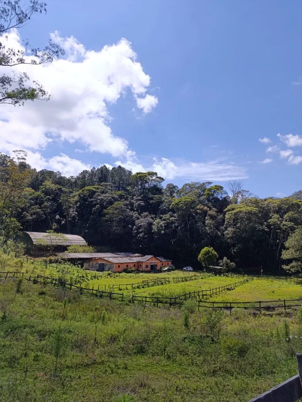 Terreno com excelente topografia no Rocio!! - Foto 4
