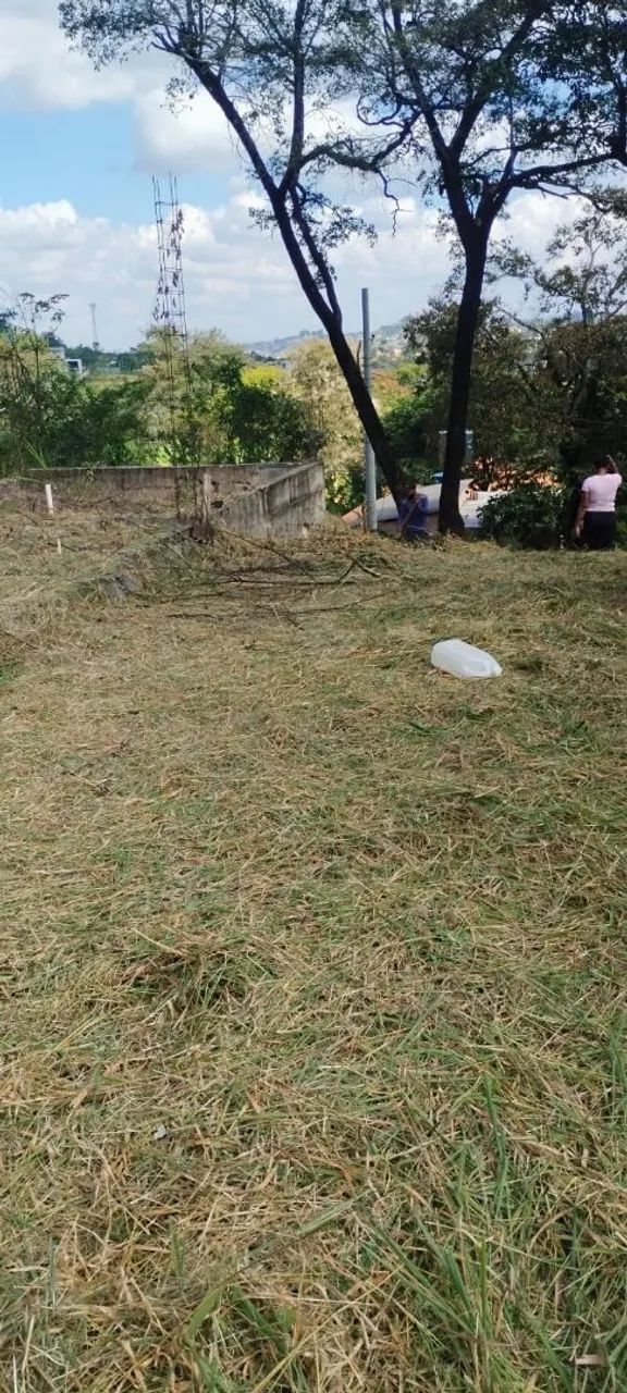 Lote vala das acácias 