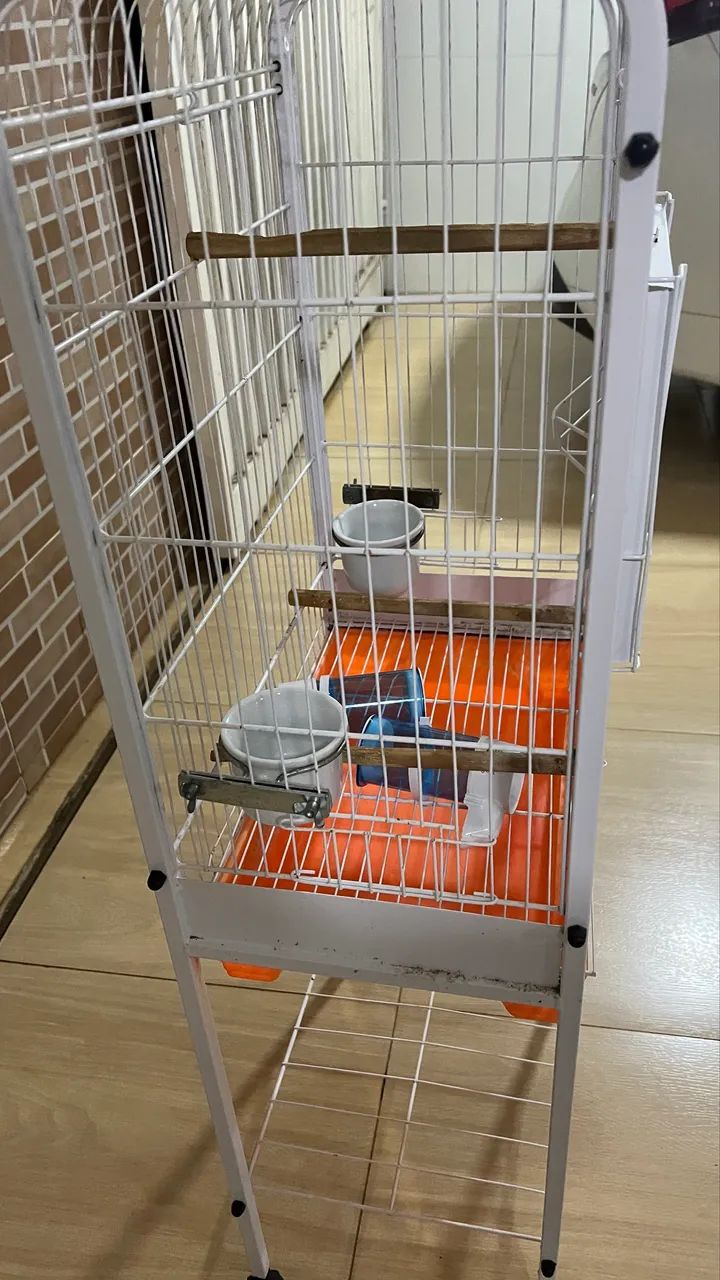 Gaiola para calopsita  - Foto 2