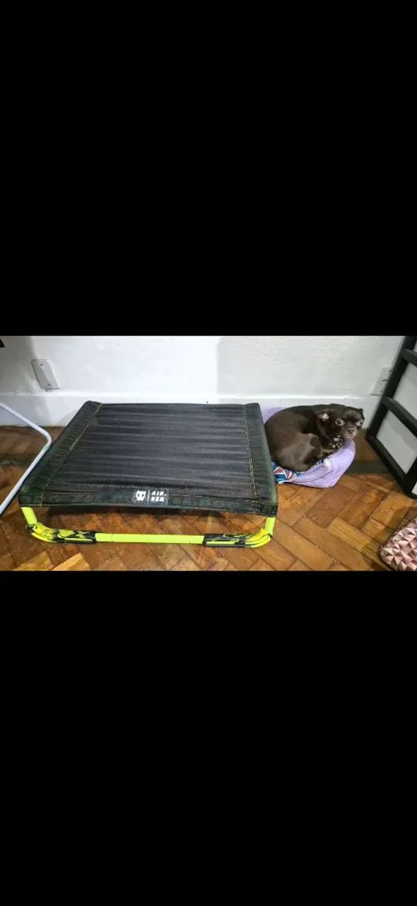 Cama zeedog