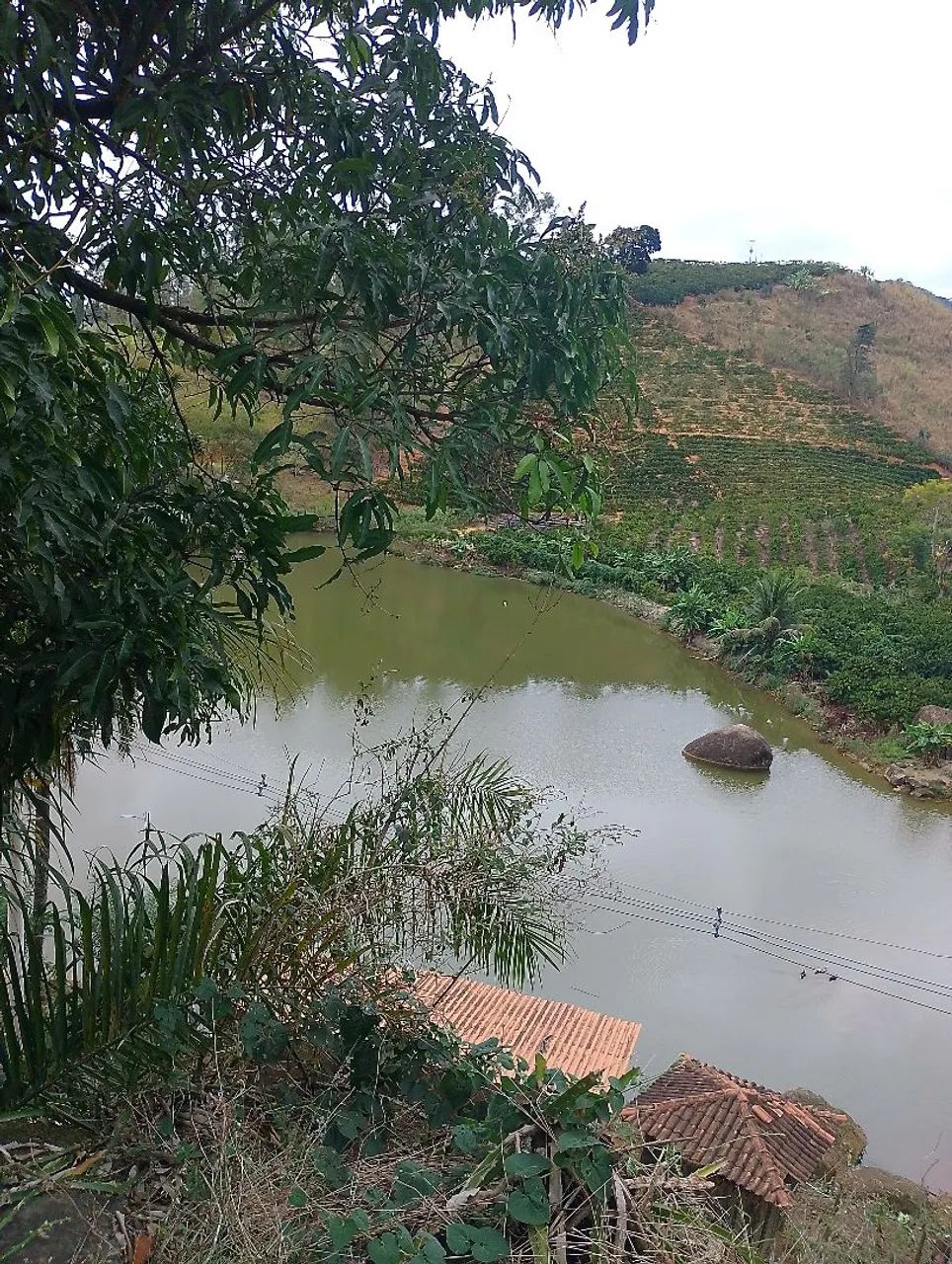Chácaras a venda na região d fundão ES  - Foto 5