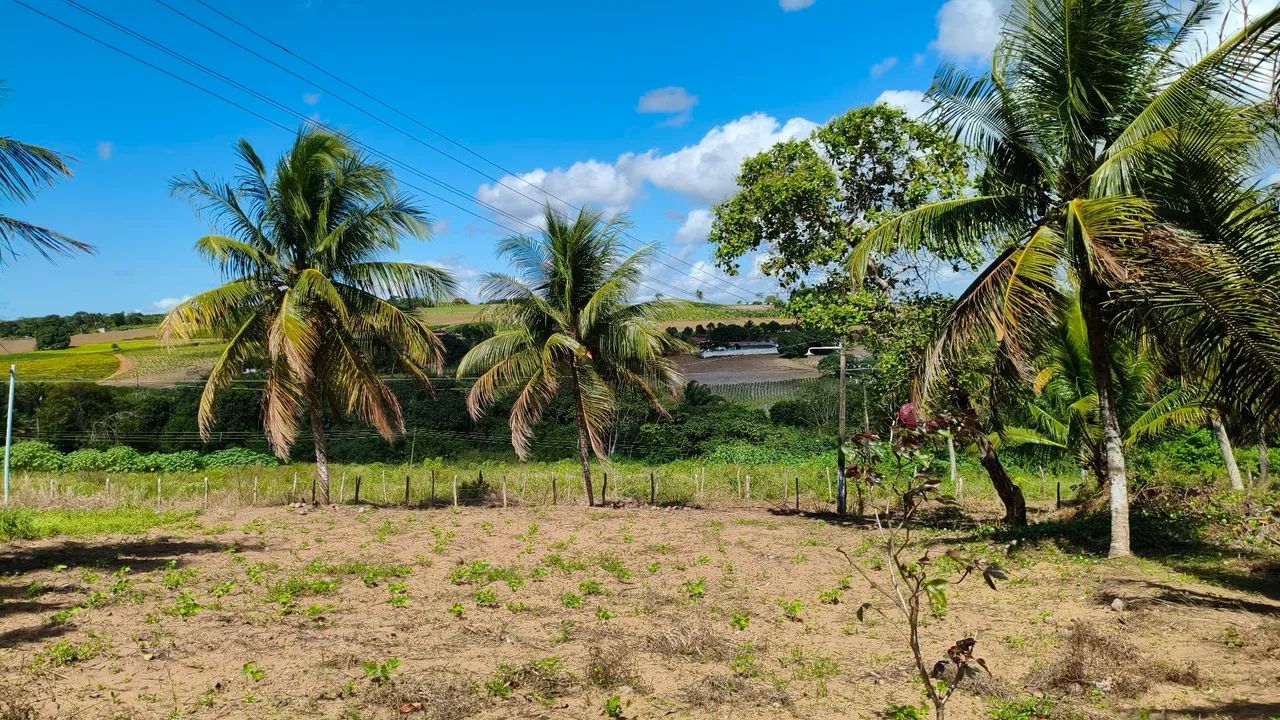 Excelente sítio no Condé  - Foto 3
