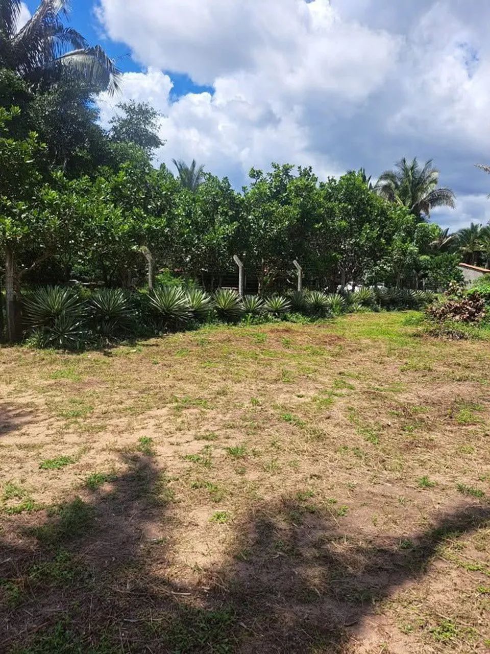 CHÁCARA A VENDA EM ITAGUATINS  - Foto 5
