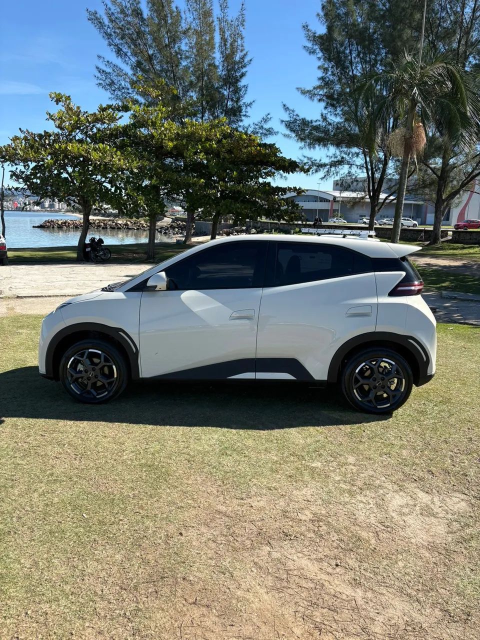 BYD Dolphin Mini (Elétrico) 2026 - Foto 4