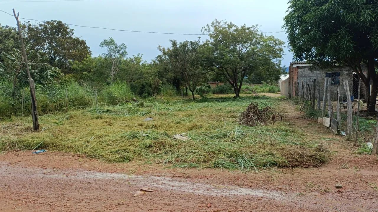 Lote cardeal  - Foto 3