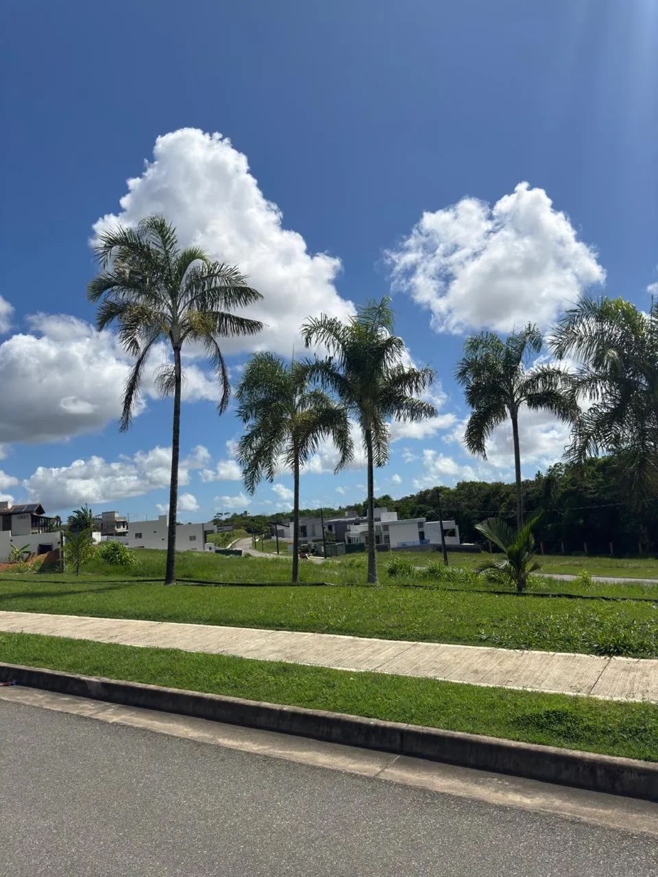 Lote no Alfhaville excelente localização  - Foto 3