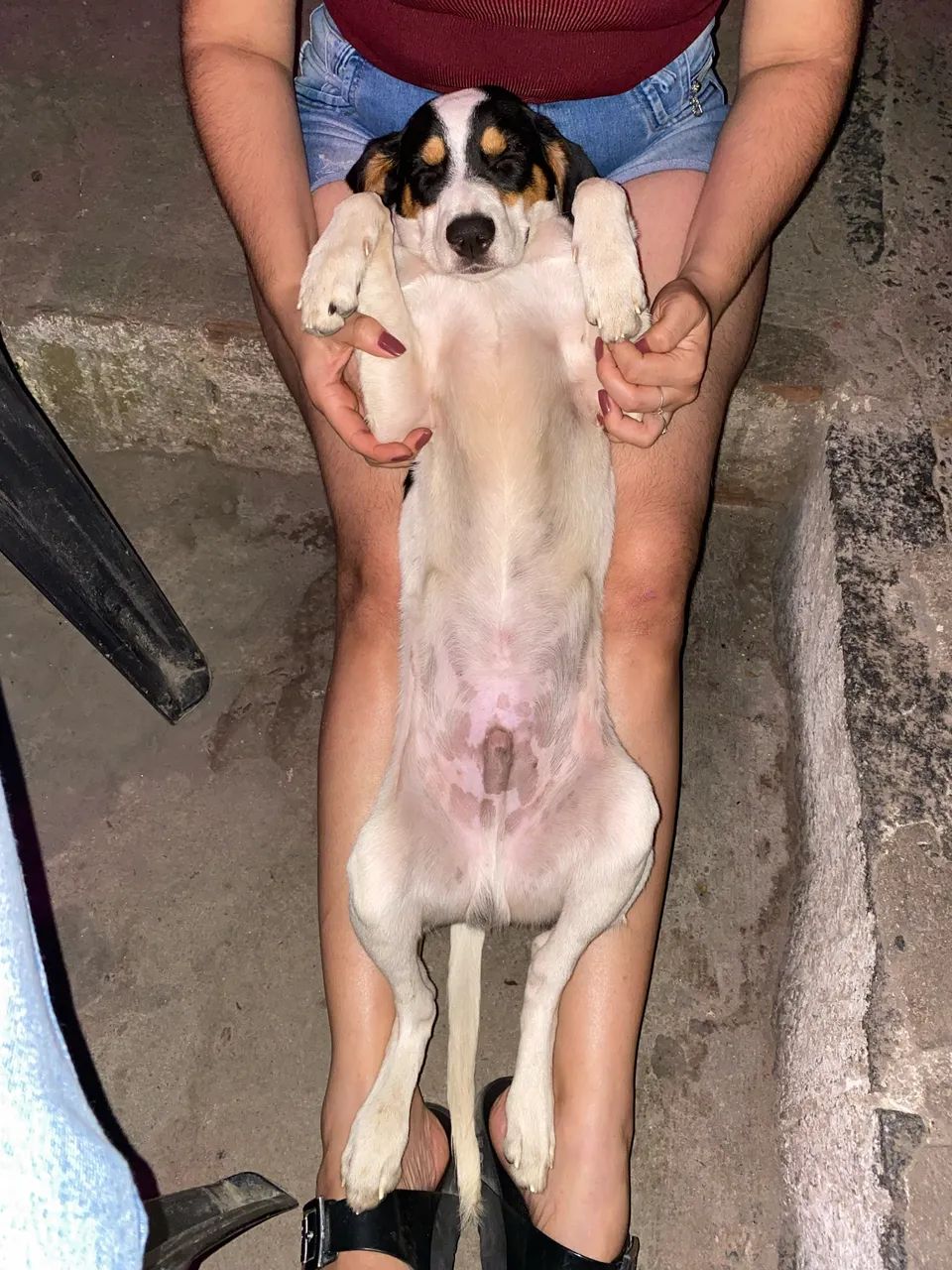 Adote esse nenê! - Foto 3