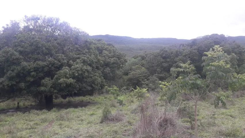 Terreno 390 hectares - Foto 3