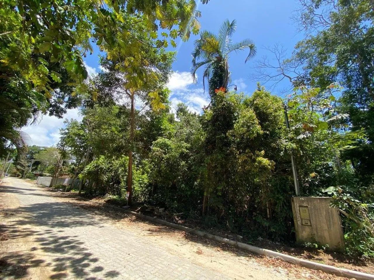 Terreno Coqueiral| Trancoso - Foto 4