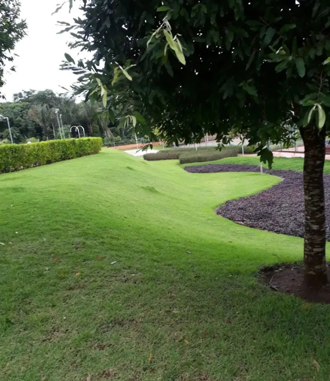 Vendo um Ótimo Terreno no Condomínio Alphaville Br - Foto 2