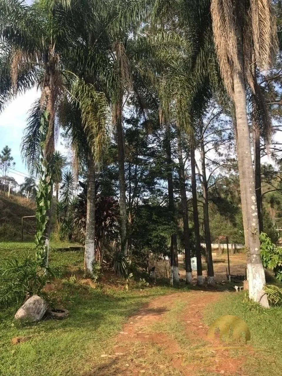 Sítio em Mairiporã á venda com 41.000 m² - Casa com 4 dormitórios - Foto 3