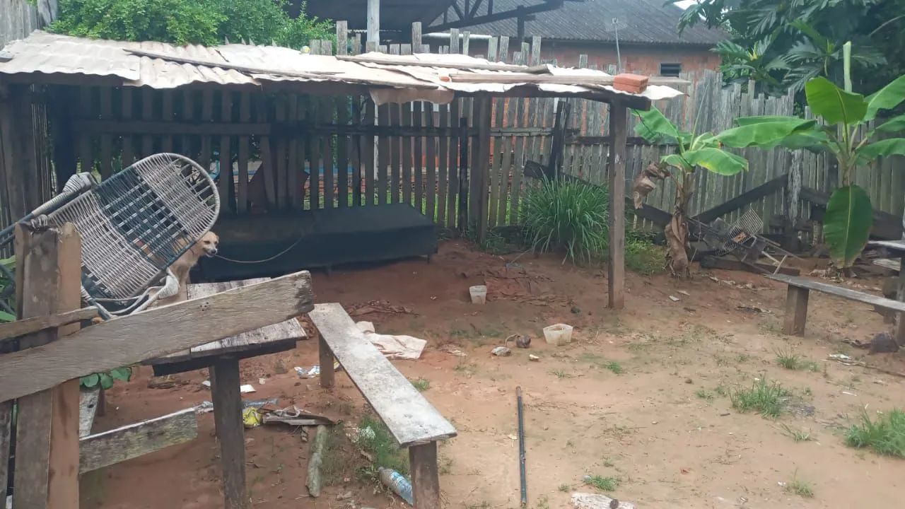  ponto de transferência os documentos 