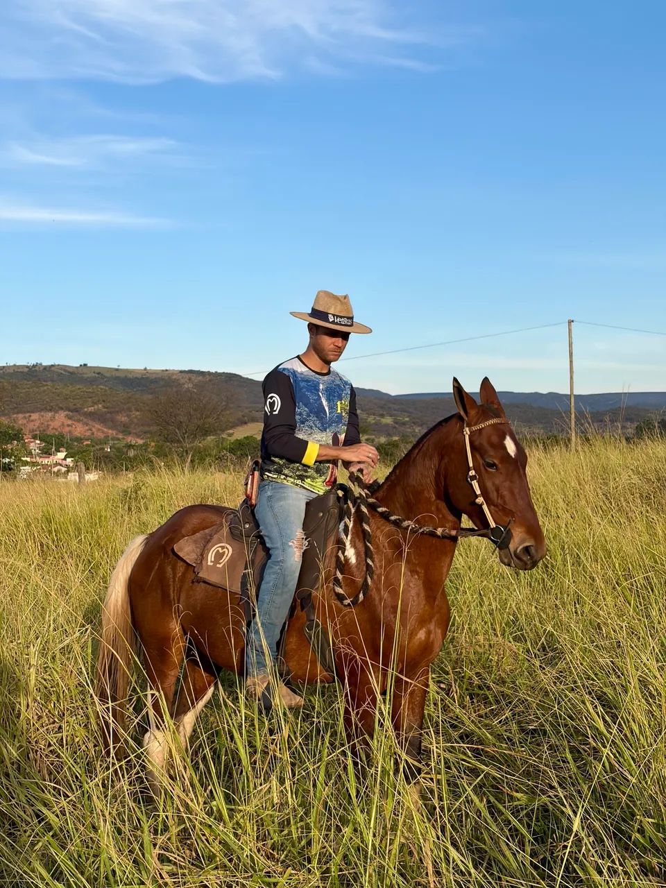 Vendo égua mangalarga 