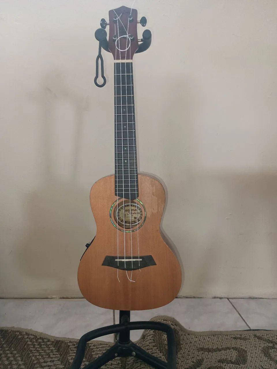 Ukulele concert Tagima - Foto 3