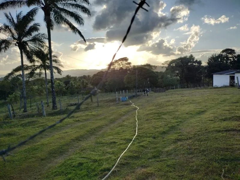 FAZENDA EM VALENÇA - Foto 5