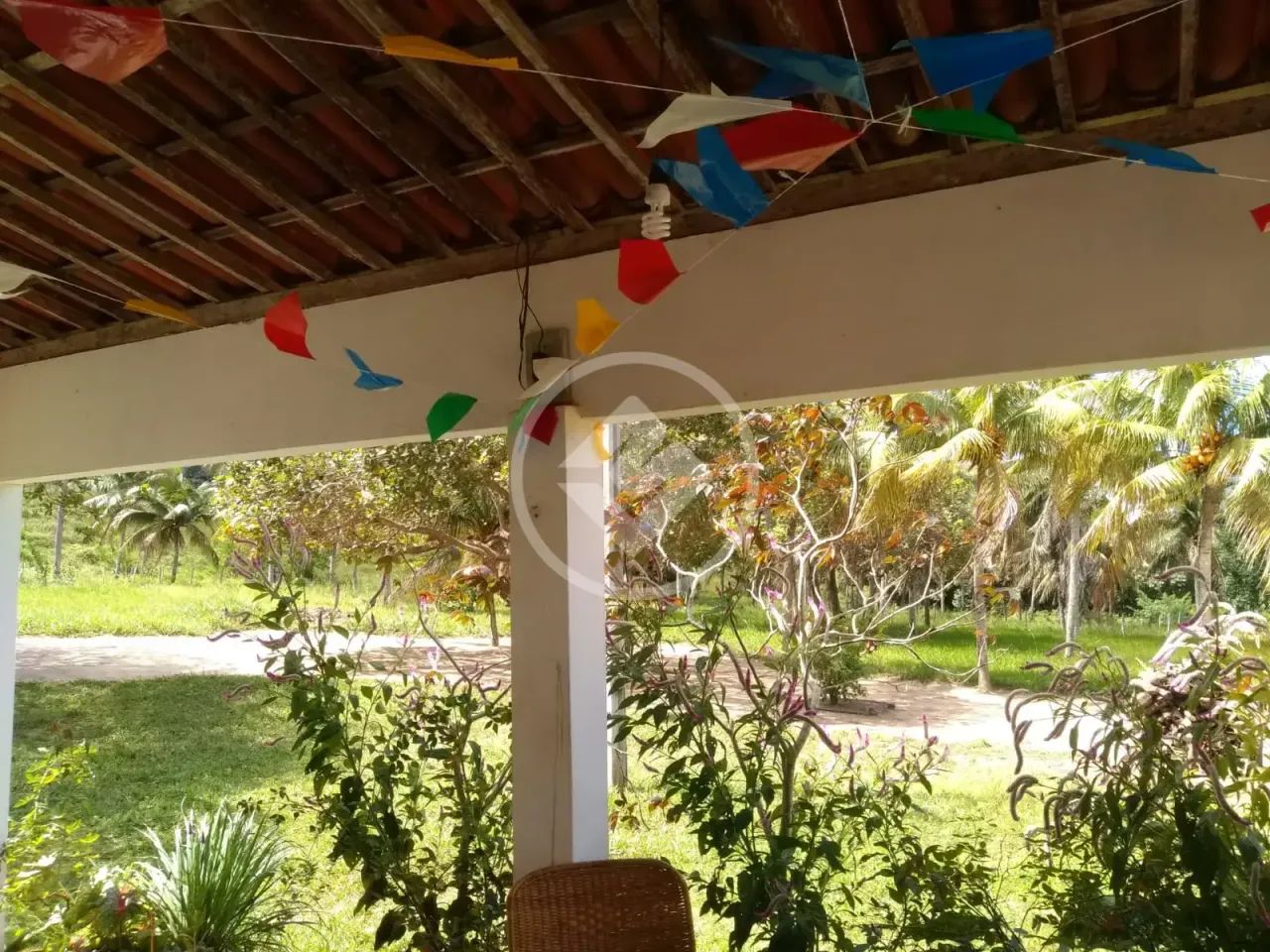 Sitio em Mamanguape codigo: 354105 - Foto 3
