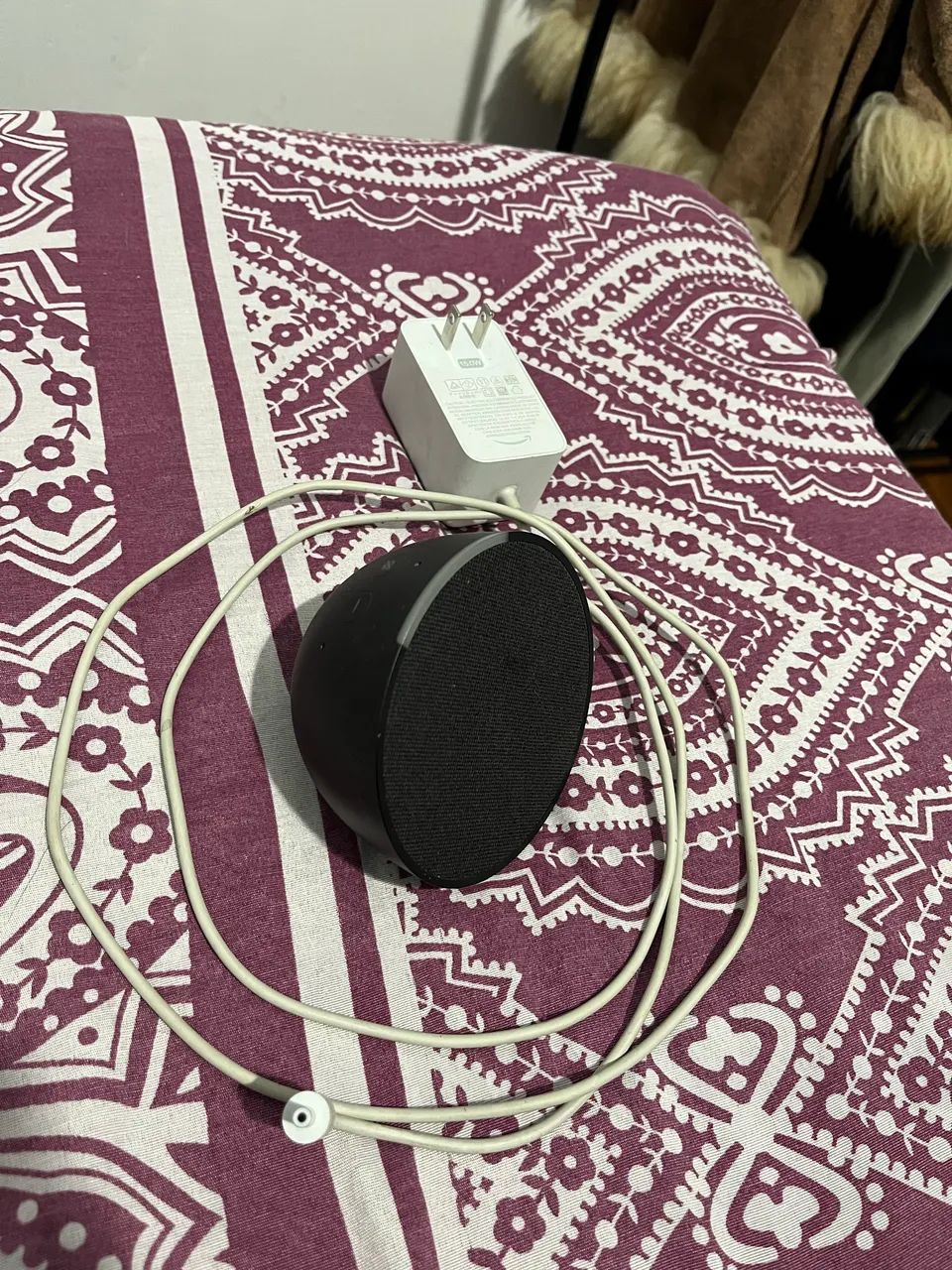 Alexa Echo dot