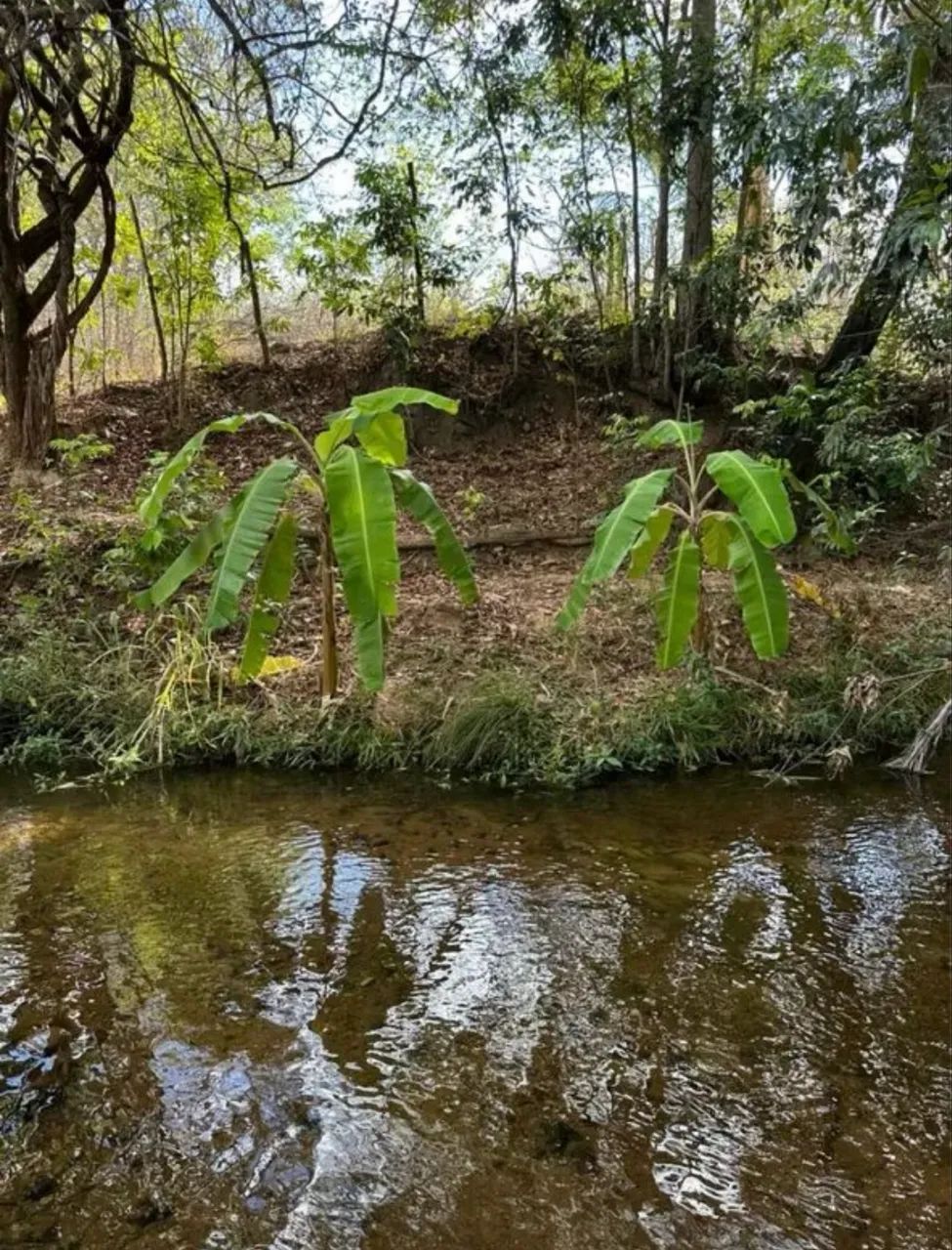 Chácara com rio em barreiras 2,5 hectares  - Foto 3