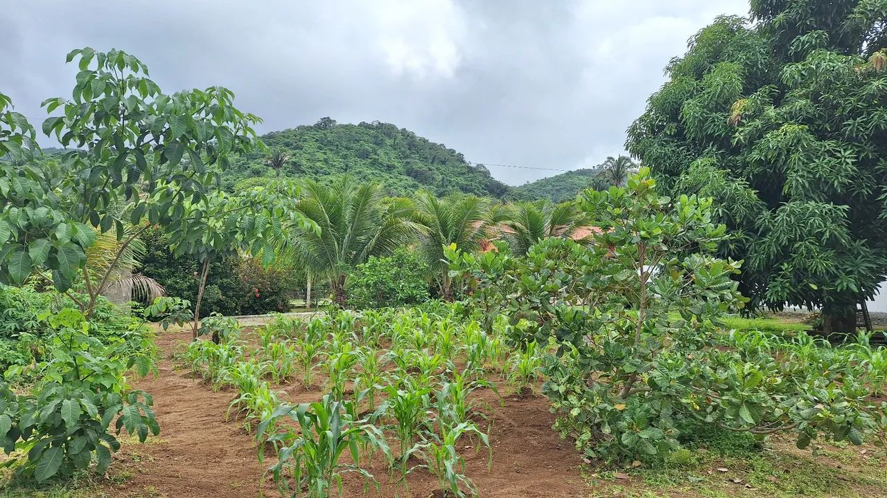Chacra localizada meruoca  - Foto 4
