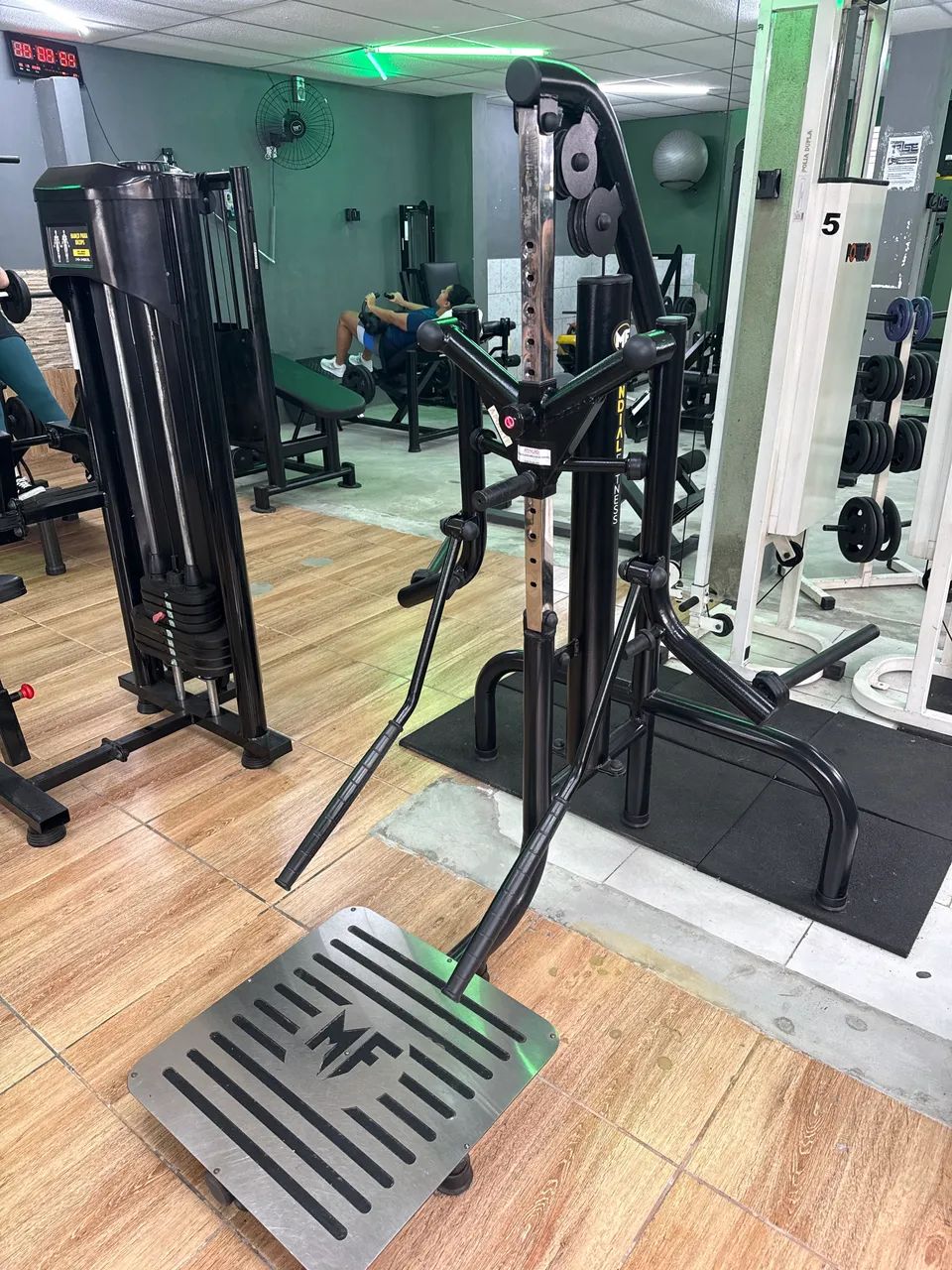 Elevação lateral e Dorsal