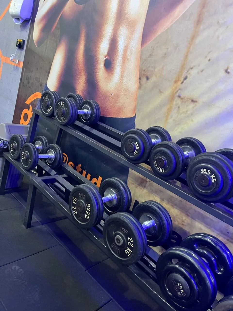 Dumbells 12 a 24kg + suporte  - Foto 2