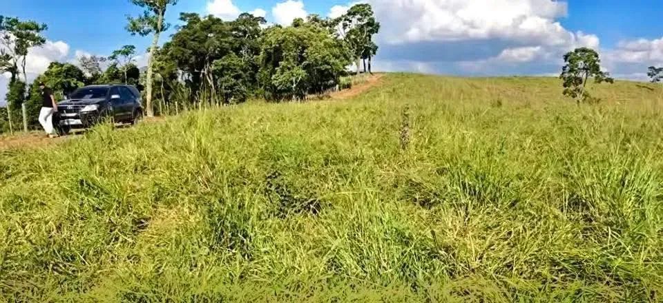 Terreno com vista 360 - Foto 3