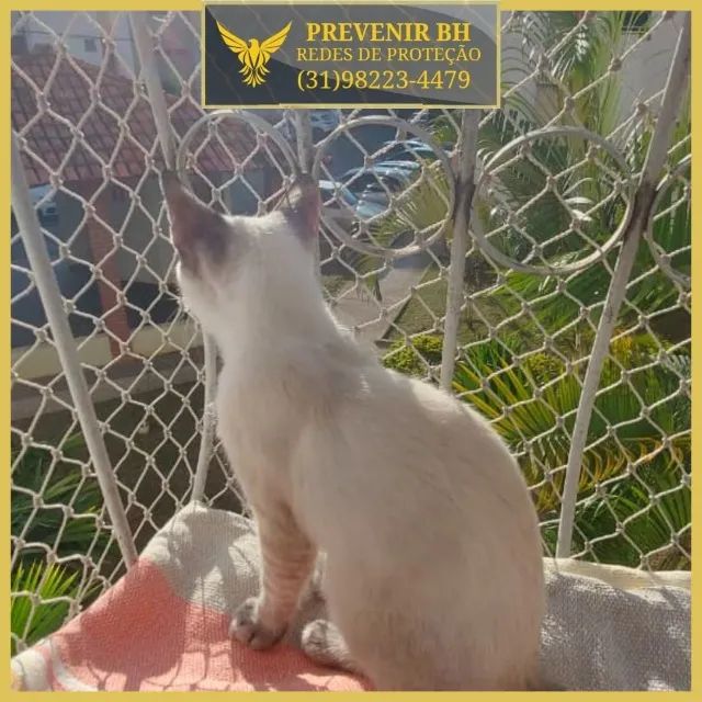 tela para gatos - Foto 5
