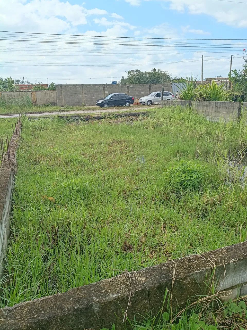 Terreno 12 por 50
