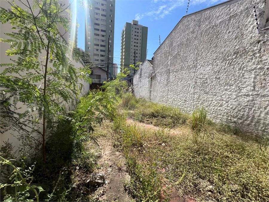 Terreno à venda em Cidade alta - SP - Foto 5