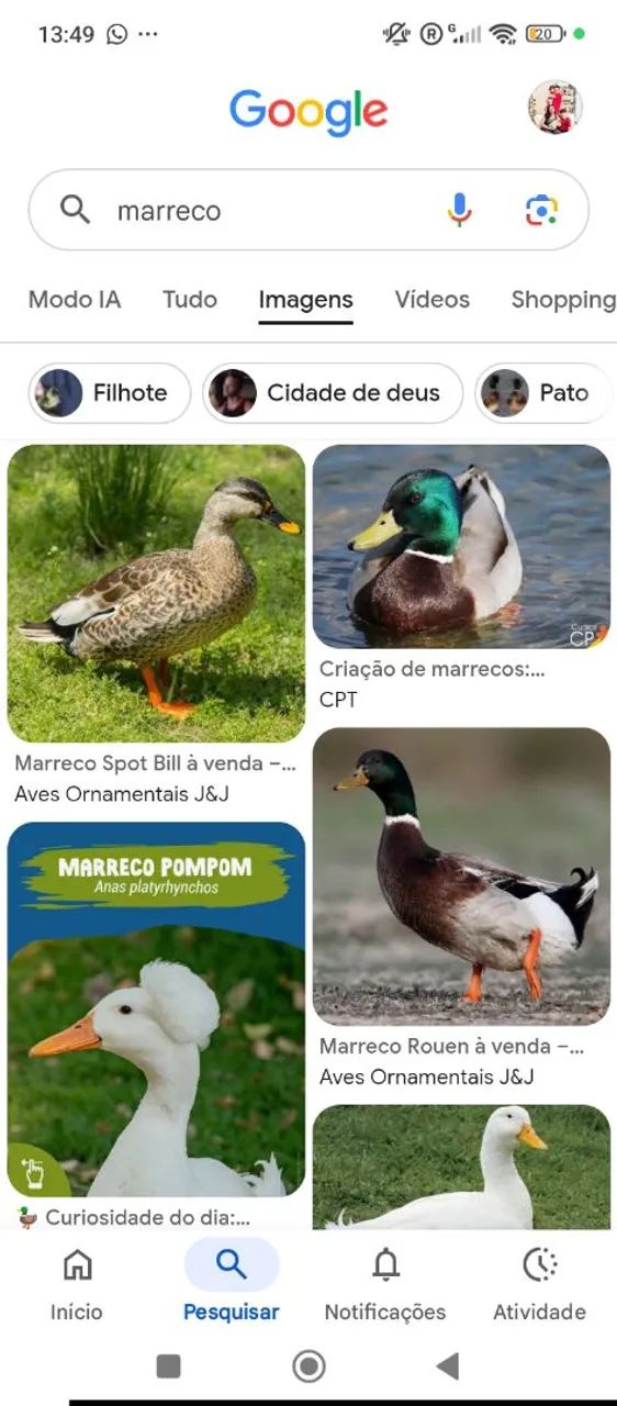 Procuro para comprar 