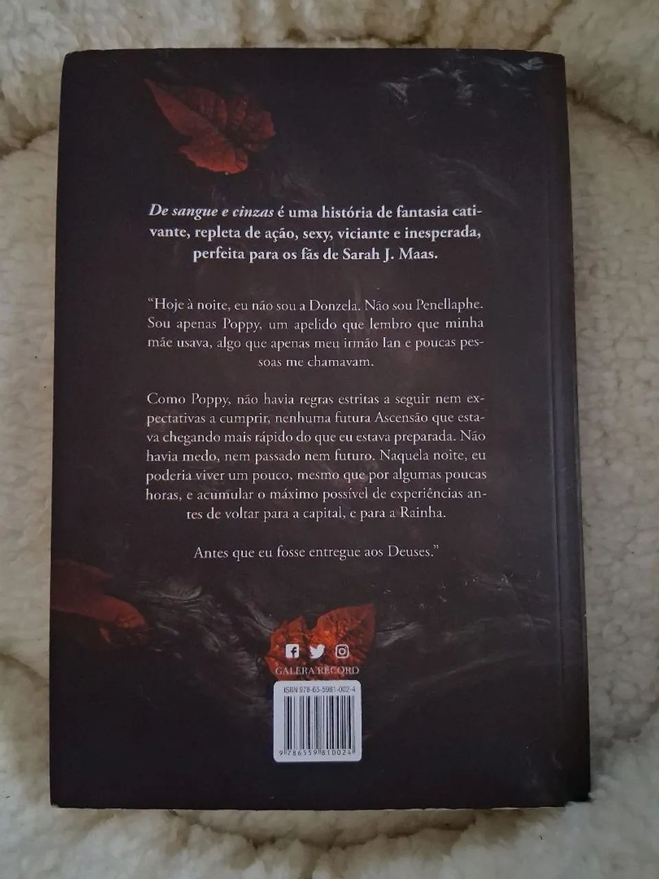 Livro de sangue e cinzas - Foto 2