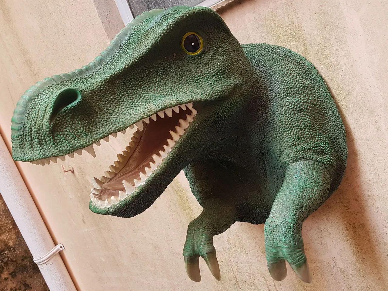 Dino - cabeça de dinossauro. - Foto 4