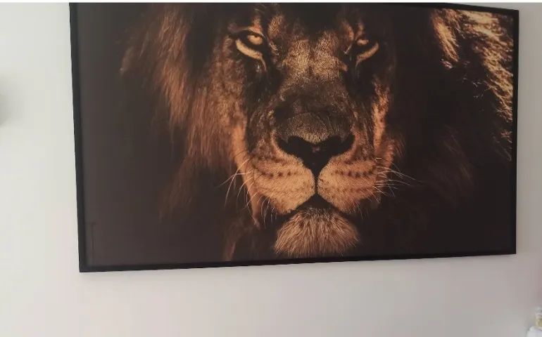 Quadro de parede