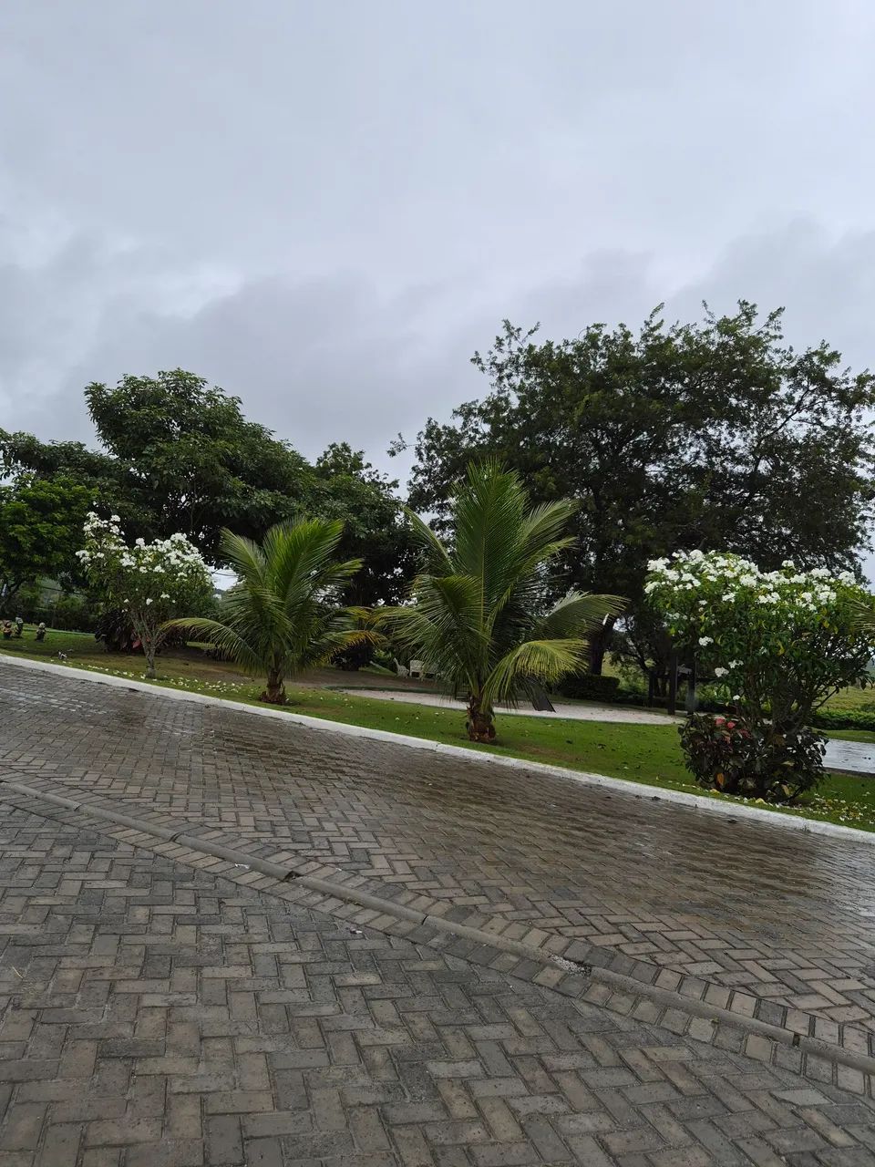 Lote no Residencial Monte Castelo - Foto 5